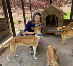 Karen Menczer con alcuni cani appena arrivati al rifugio