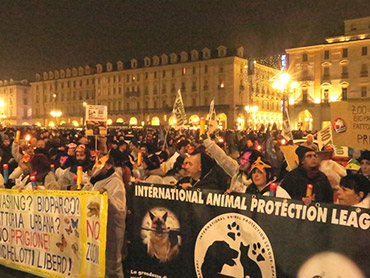 La fiaccolata nel centro di Torino per manifestare contro la riapertura dello zoo, che ha radunato centinaia di persone