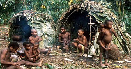 Les familles pygmées et leurs habitations
