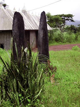  Monolithe rituel noires, associées à d’autres plantes dites dangereuses, e 2m et 2,5m, basalte, date déterminée sans doute XVIII ou XVIIème siècle (source orale) 