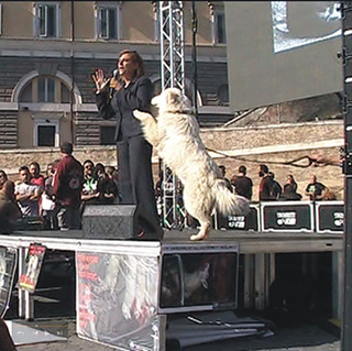 Mentre l'Avvocato Mariella Cipparrone nel suo intervento ribadisce il suo impegno a modificare le leggi per tutelare gli animali, uno dei tanti cani presenti, sale sul palco per salutarla con riconoscenza