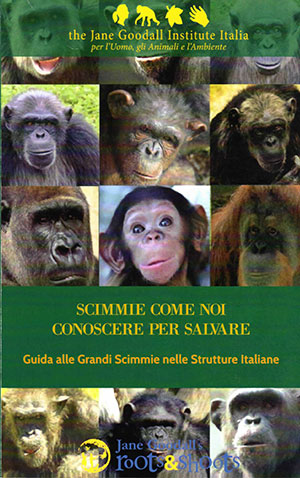  "Scimmie come noi, conoscere per salvare", la Guida alle grandi scimmie pubblicata dal Jane Goodall Institute Italia 