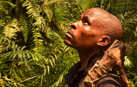  En République du Congo, de vastes pans des terres ancestrales des Bayaka ont été saisis sans le consentement de ces derniers par des sociétés d’exploitation forestière et de grandes ONG de conservation de la nature. Photo : Lambert Coleman 