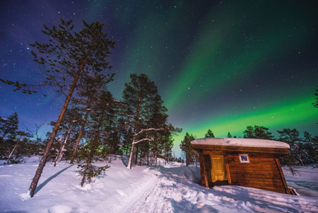 L’aurora boreale nella foresta norvegese