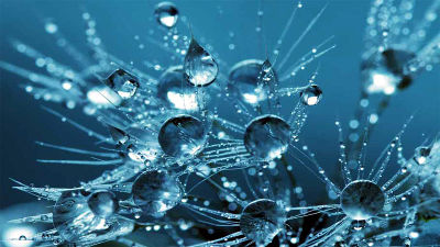 Omeopatia e le potenzialità dell’acqua informata