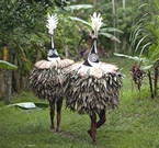 Danza del Tumbuan