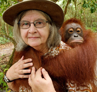 Biruté Galdikas, primatologa, ha dedicato la sua vita agli orangutan