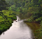 Un fiume nella regione autonoma della costa caraibica settentrionale del Nicaragua. Immagine di Alam Ramírez Zelaya