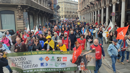 Il corteo con migliaia di persone nel cuore di Torino