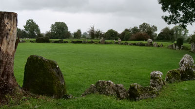 L’antico cerchio di pietre di Lough Gur. Datato almeno 9.000 anni, la particolarità di questo grande Stone Circle è che non è formato solo da pietre ma anche da alberi.