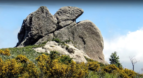 Il megalite con la raffigurazione dell’Aquila