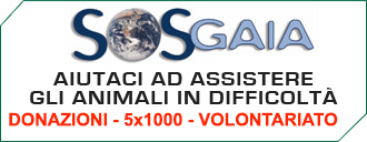 Sostieni SOS Gaia - Donazioni - 5x1000 - Volontariato