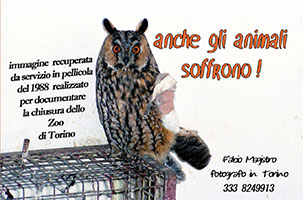 Lo Zoo di Torino 1955 – 1987