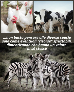 Il Papa Francesco non citato