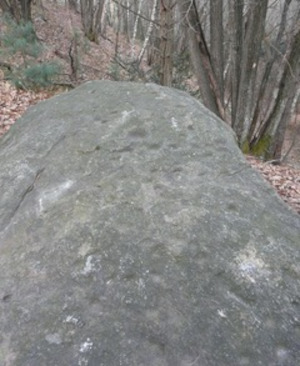 Masso coppellato nei boschi della Riserva Naturale del Sacro Monte di Ghiffa