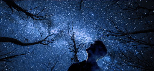 Guardando il cielo stellato in una notte serena e silenziosa, ci può cogliere un’inaspettata vertigine interiore che non sappiamo definire