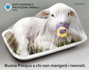 Un agnellino sacrificato per Pasqua (campagna ENPA)