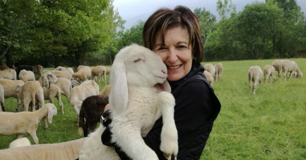 La campagna di SOS Gaia contro il massacro degli agnelli per Pasqua