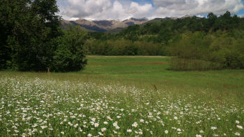 Nel Vallone del Fandaglia