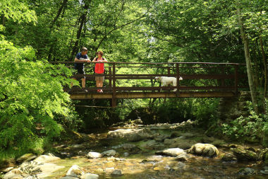 Ponte sul Fandaglia