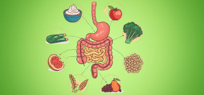 Ogni elemento a base vegetale apporta benefici alla salute dell’intestino e all’intero metabolismo del nostro organismo