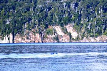 Strani movimenti sul Nahuel Huapi gennaio 2020