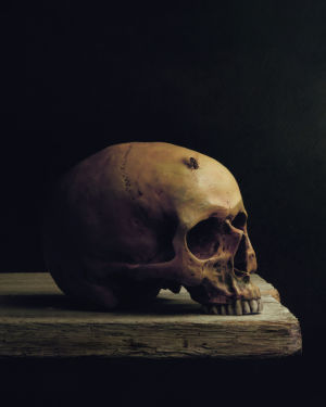 Il Tempo e la paura della Morte…